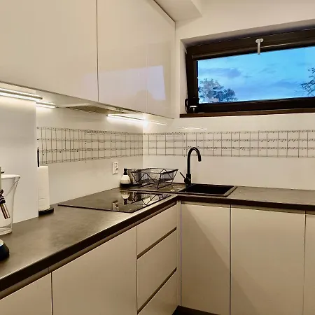 Piano Near Cracow, Modern, 3 Rooms, Free Parking, Terrace, Garden, Wifi